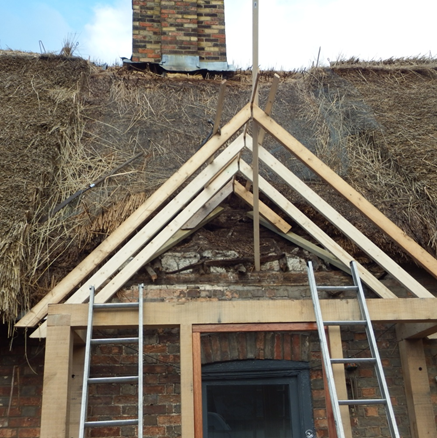new construction with thatched roofs
