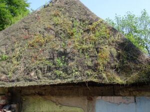 thatched roofs