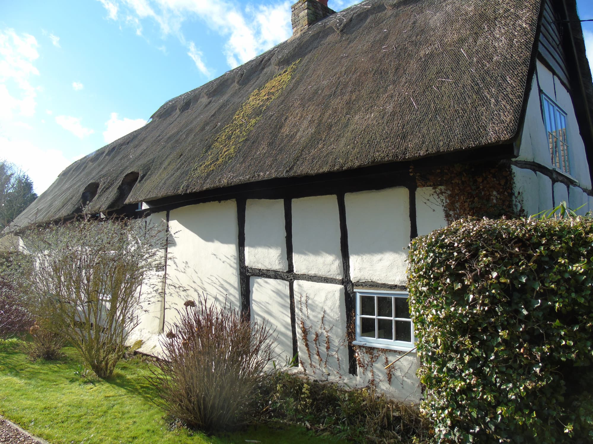 Longstraw - Thatch Advice Centre